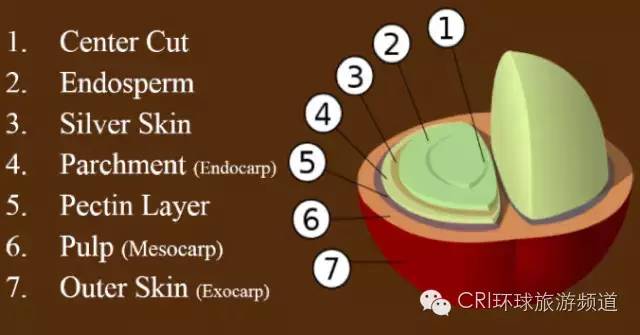 1500446763300003290.jpg 640 (2).jpg